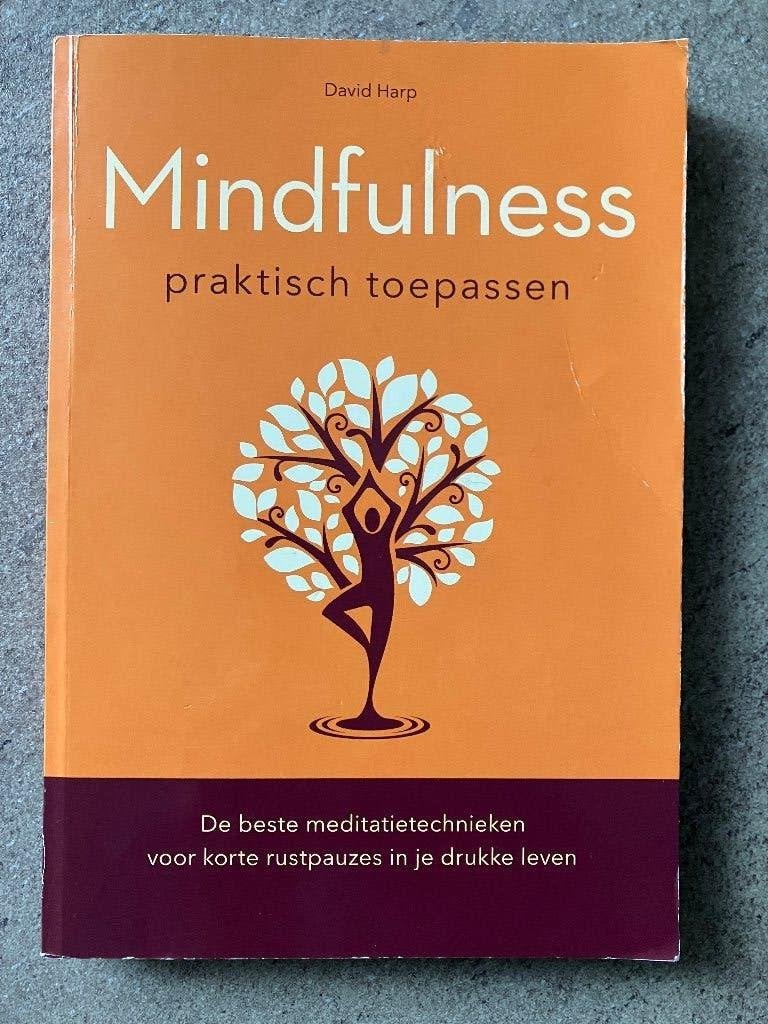 Mindfulness, David Harp, Overige typen, Ophalen of Verzenden, Zo goed als nieuw