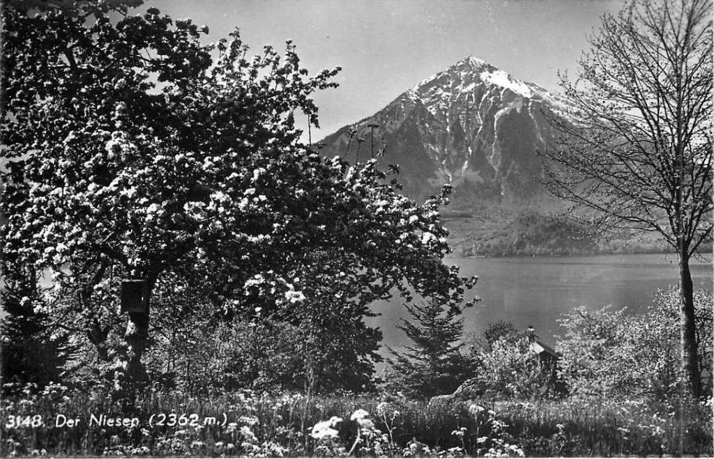 381-297-009 Der Niesen, Verzenden, Voor 1920, Overig Europa