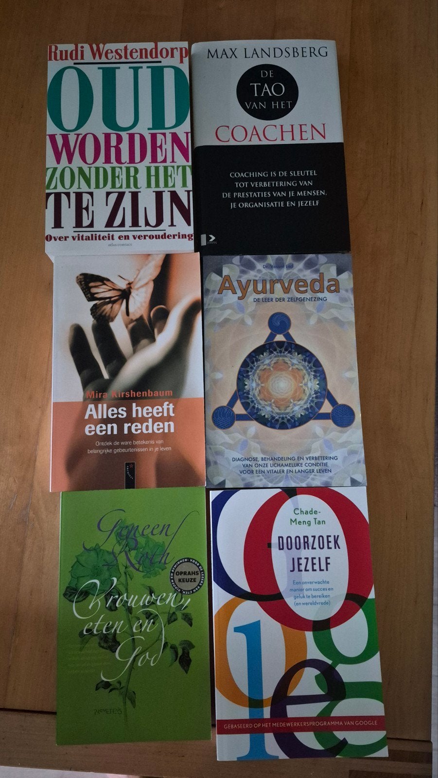 Boekenpakket: Zelfhulp, Spiritualiteit & Gezondheid, Ophalen of Verzenden, Gelezen, Rudi Westendorp, Max Landsberg, Mira Kirshenbaum, Chade-Meng Tan