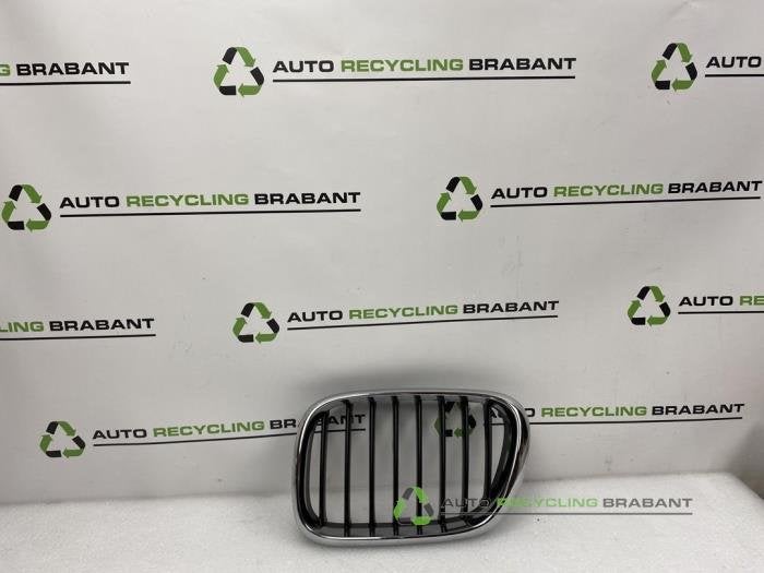Grille van een BMW X5, Gebruikt, -, -, Ophalen of Verzenden