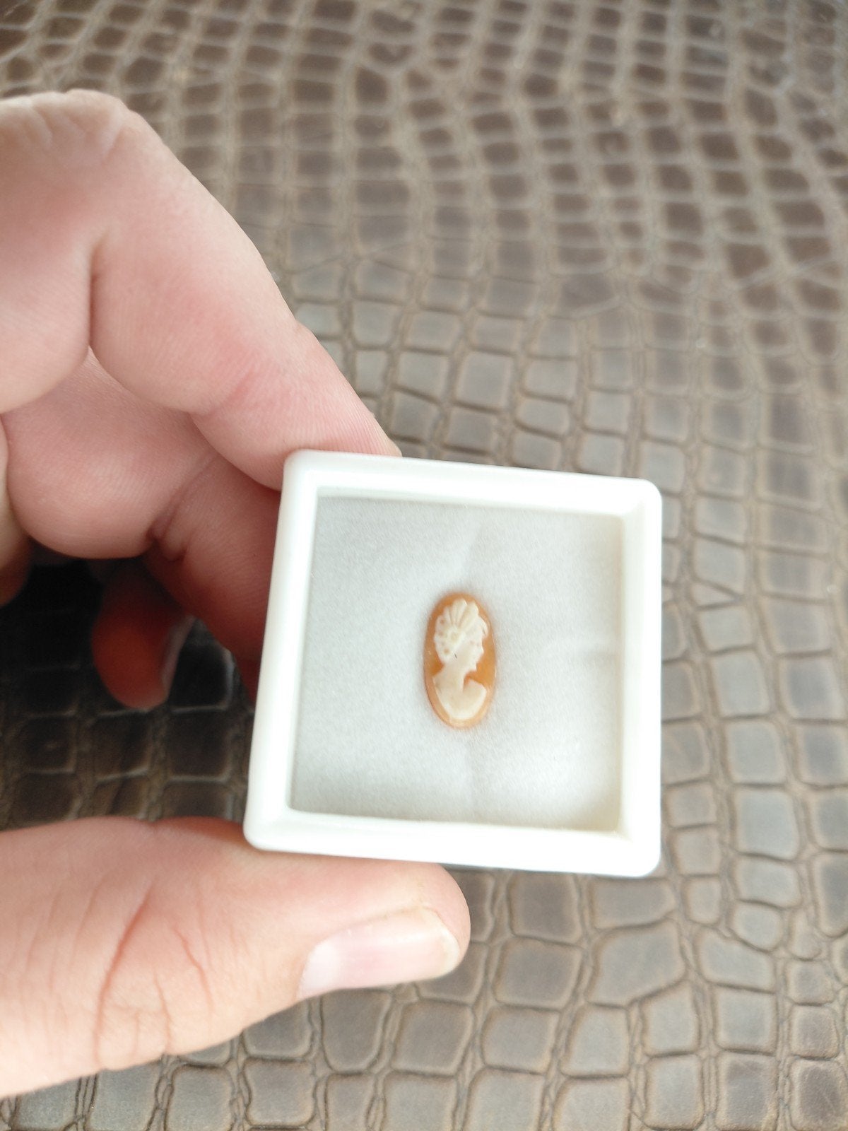 Kleine langwerpige schelp camee, Ophalen of Verzenden