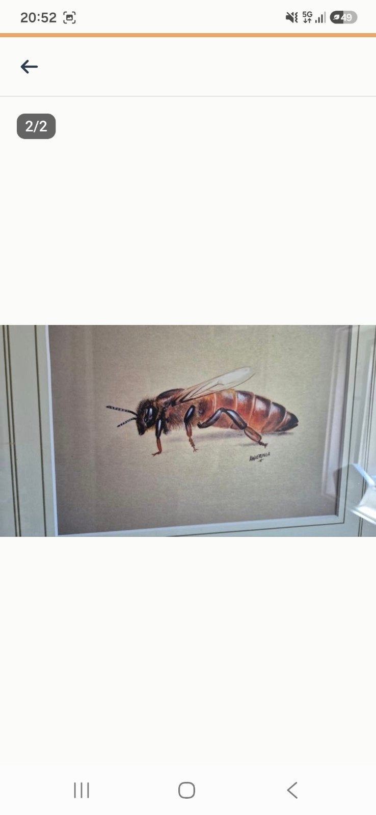 Buckfast koningin schilderij, Ophalen