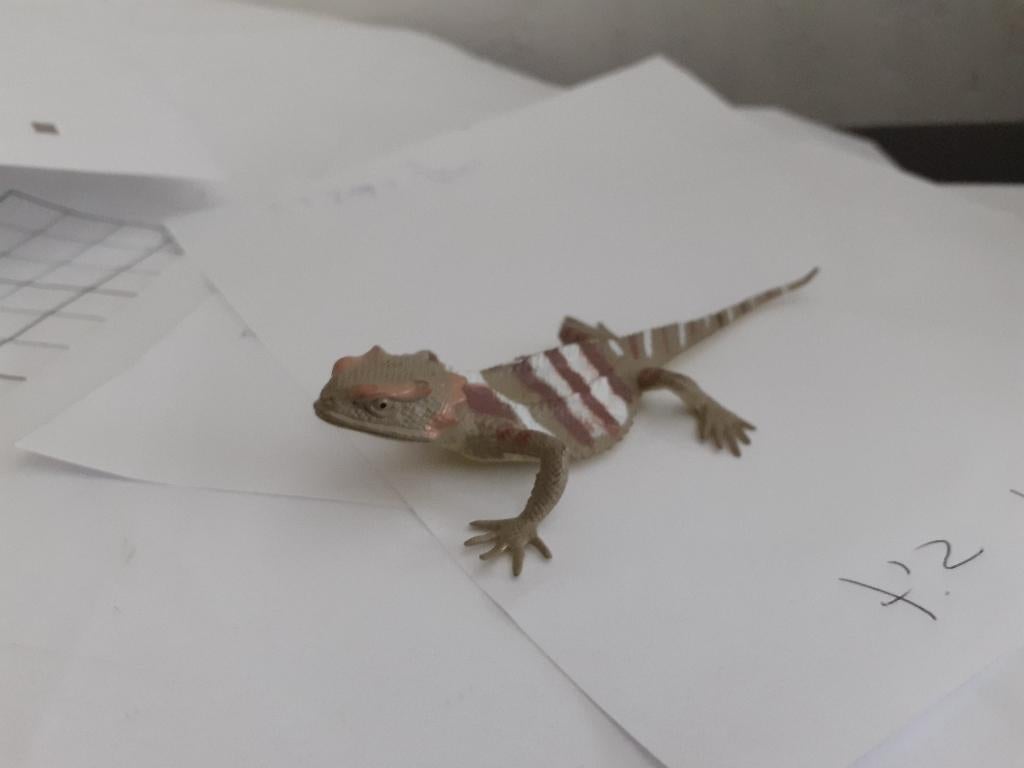 WoestijnHagedis.4 dierfiguur 11 cm geen Schleich, Ophalen of Verzenden, Gebruikt, Reptiel of Amfibie, Beeldje of Figuurtje