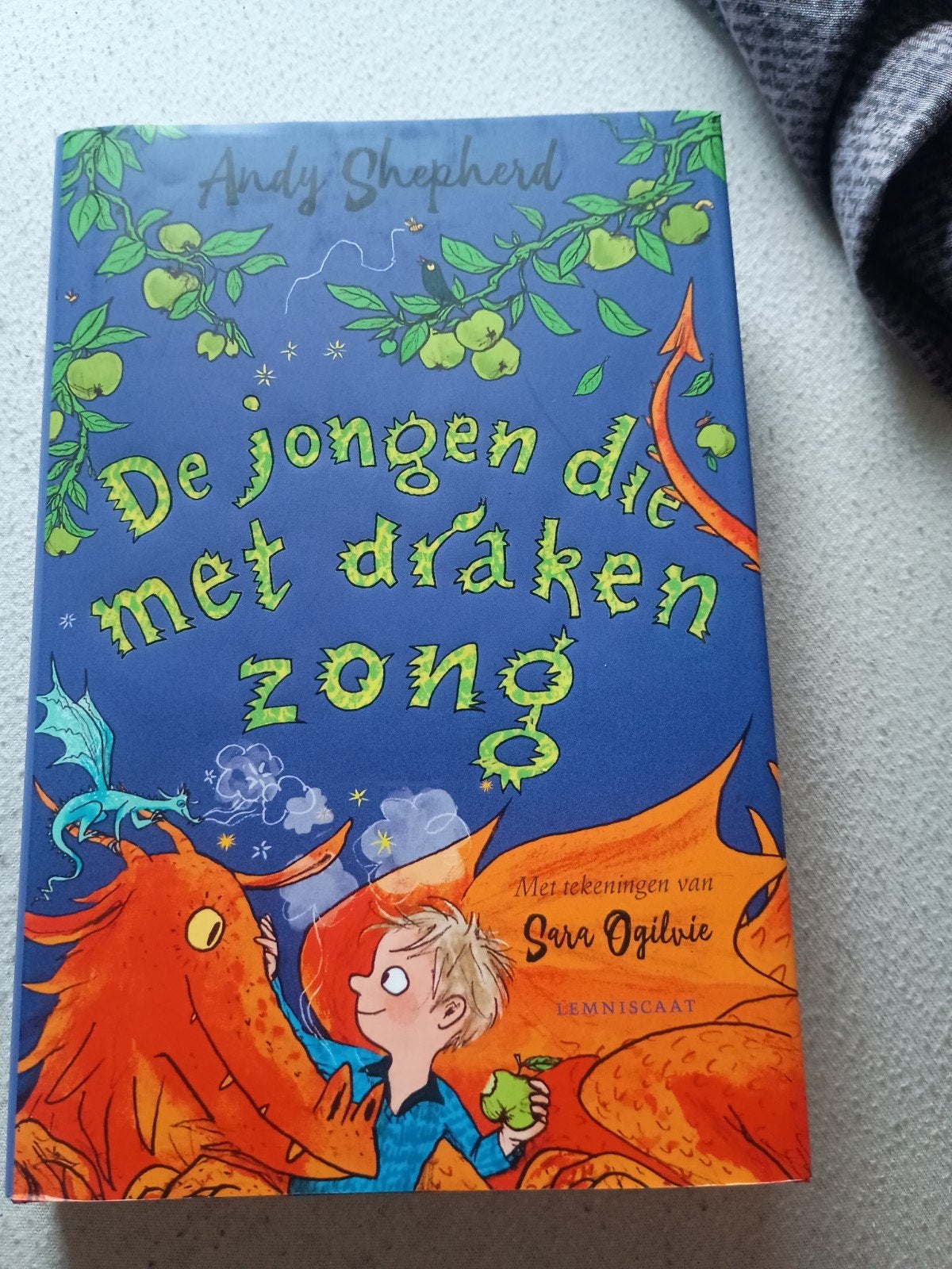 De jongen die met draken zong - Andy Shepherd, Ophalen, Zo goed als nieuw, Andy Shepherd, Fictie algemeen