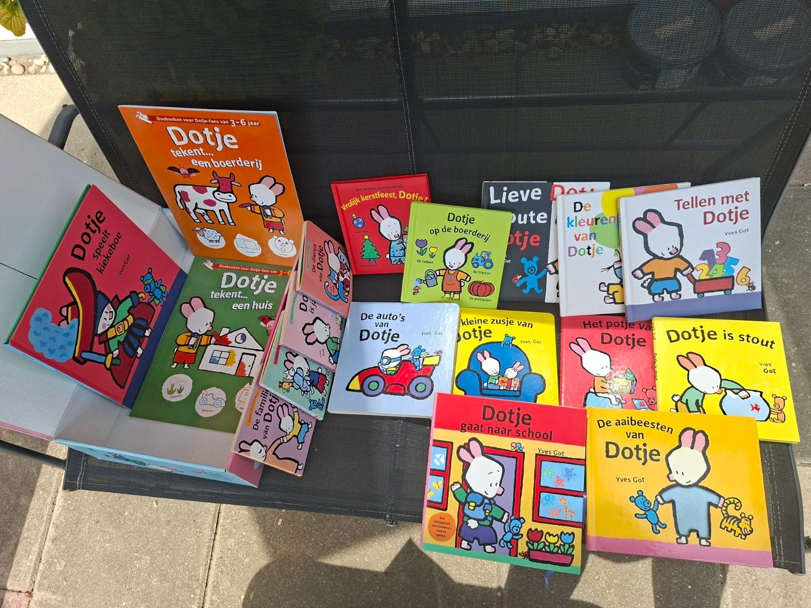 Dotje: Volop kijken, lezen, spelen en leren met Dotje, Boeken, Ophalen of Verzenden, Zo goed als nieuw, Uitklap-, Voel- of Ontdekboek
