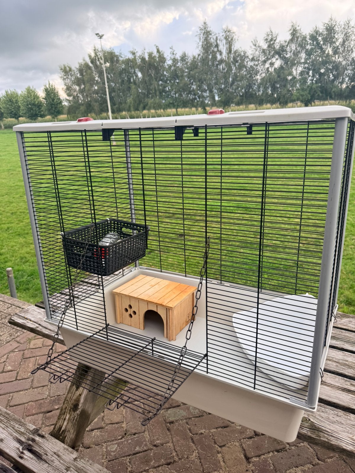 Knaagdieren kooi, Ophalen, Kooi, Gebruikt, 60 tot 90 cm