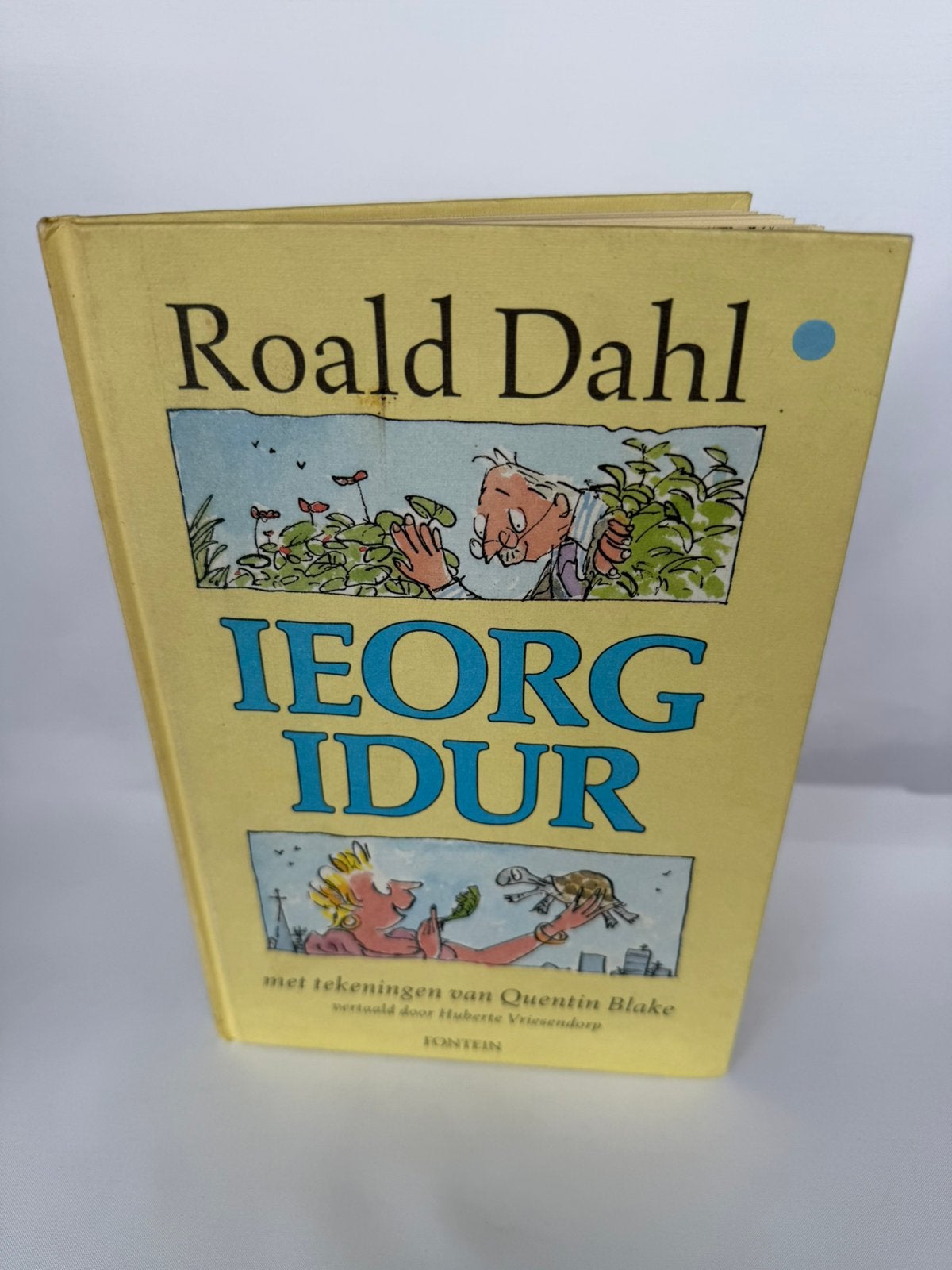 Roald Dahl Ieorg Idur kinderboek, Boeken, Kinderboeken | Jeugd | onder 10 jaar, Ophalen of Verzenden, Gelezen, Fictie algemeen