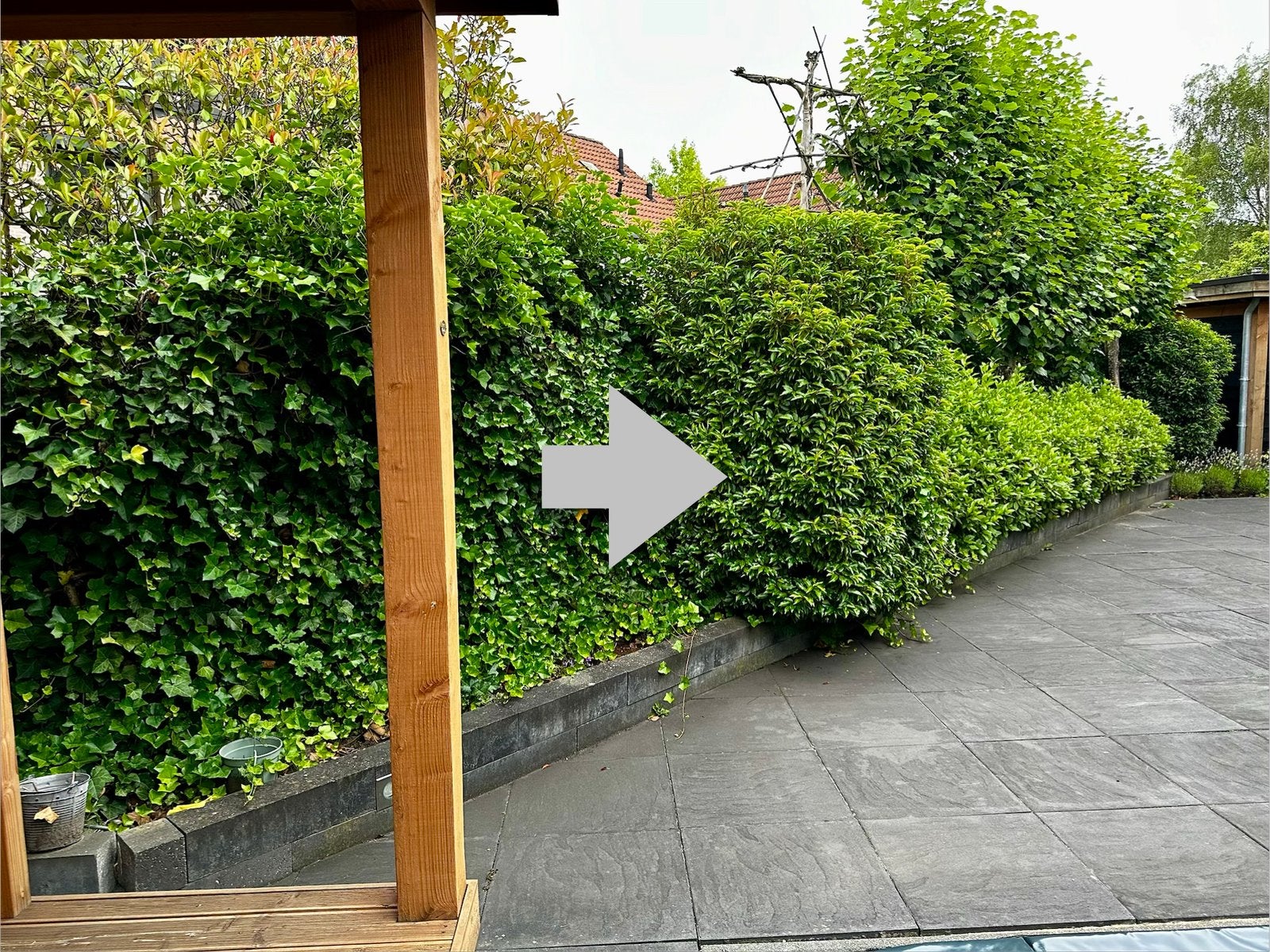 Boom of haag 2x, zelf uitgraven, Tuin en Terras, Ophalen, Struik, 100 tot 250 cm