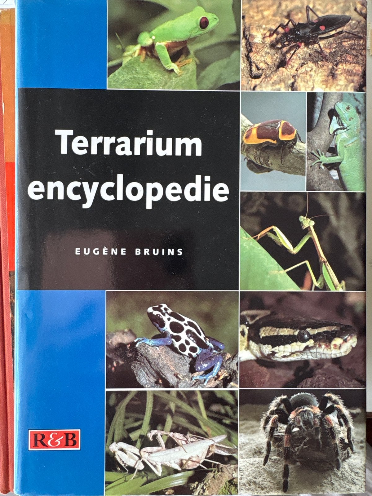 Terrarium encyclopedie - Eugène Bruins (R&B), Ophalen of Verzenden, Zo goed als nieuw, Reptielen of Amfibieën