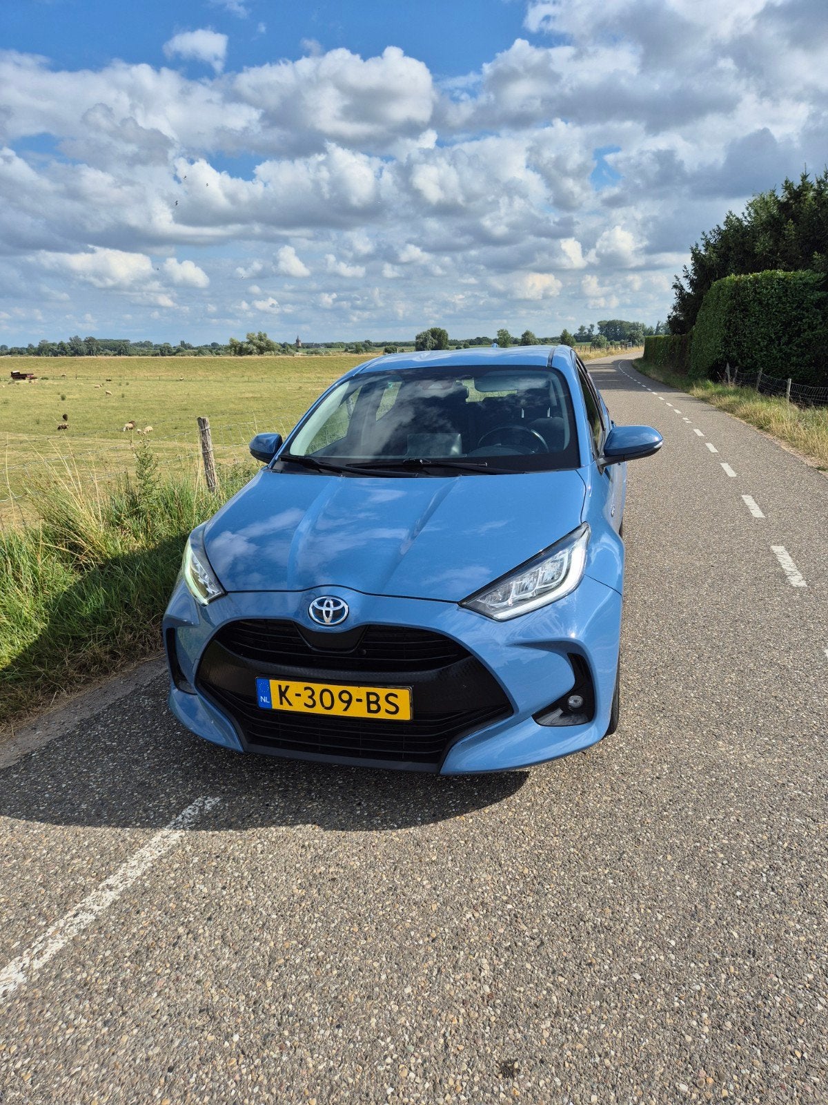 Toyota Yaris 1.5 Hybrid 116pk CVT 2020 Blauw, 450 kg, Bluetooth, Blauw, 450 kg