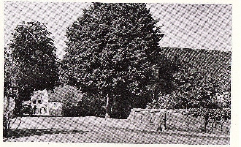 Dreumel (Gld) Rooijschestraat ca. 1960., Ophalen, 1940 tot 1960, Ongelopen, Gelderland