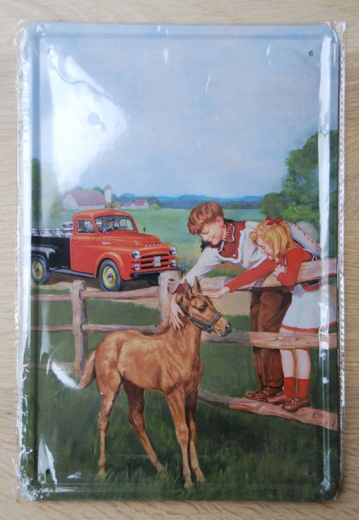 Afbeelding op blik nostalgie, Metaal, 30 cm, 20 cm, Vintage