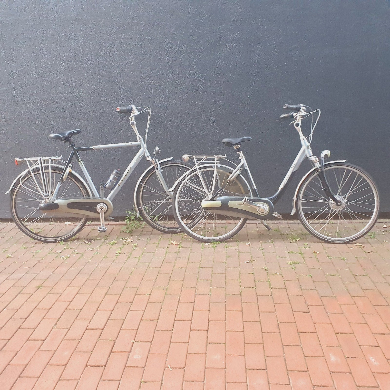 Nette Gazelle Dames en heren fietsen, Fietsen en Brommers, Fietsen | Dames | Damesfietsen, Zo goed als nieuw, Gazelle, Versnellingen