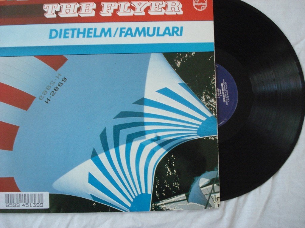 Diethelm / Famulari - The flyer, Cd's en Dvd's, LP, Gebruikt, Ophalen of Verzenden, 12 inch