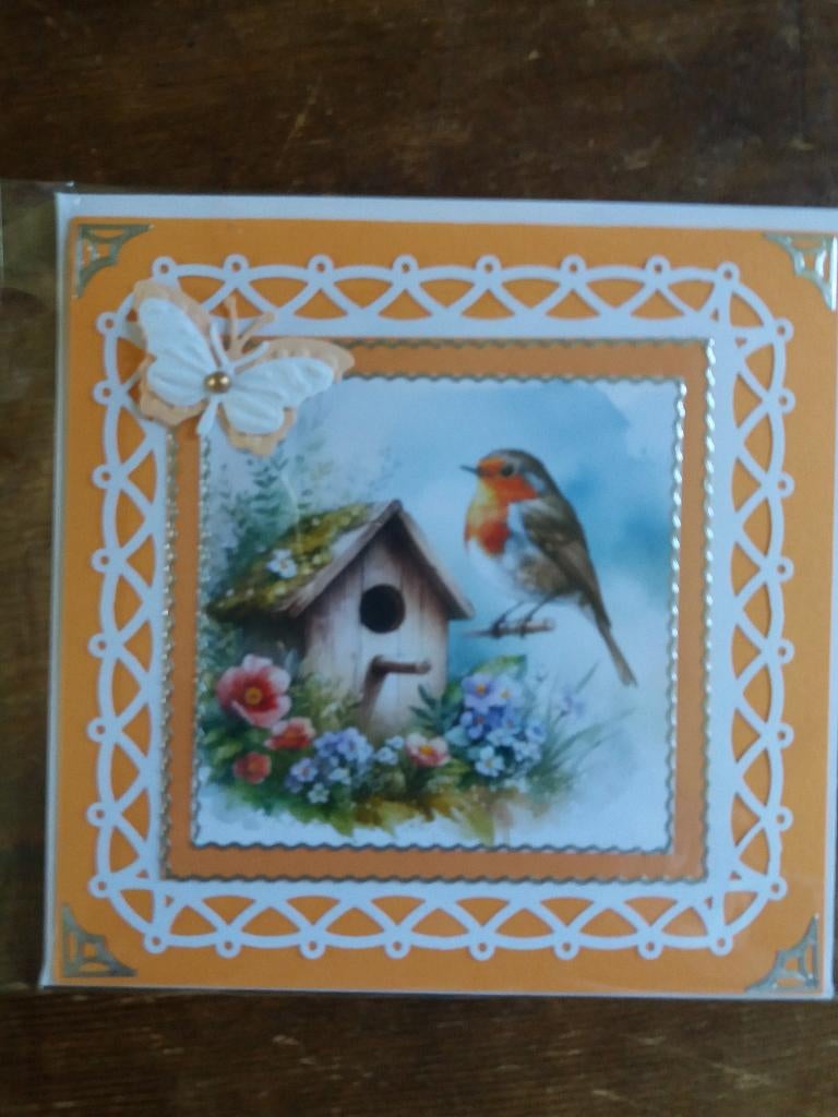 Blanko kaartje met roodborstje no. 2423, Ophalen of Verzenden, Nieuw, Dieren