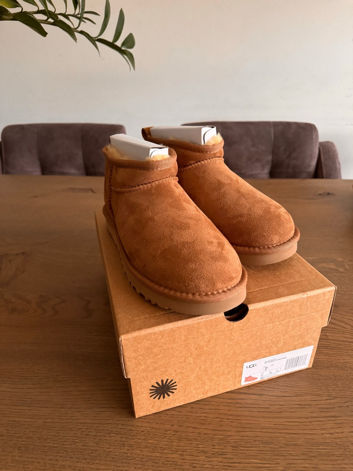 UGG Ultra Mini Classic Chestnut Maat 38 Nieuw in Doos, Bruin, Lage of Enkellaarzen, Nieuw, Ophalen of Verzenden