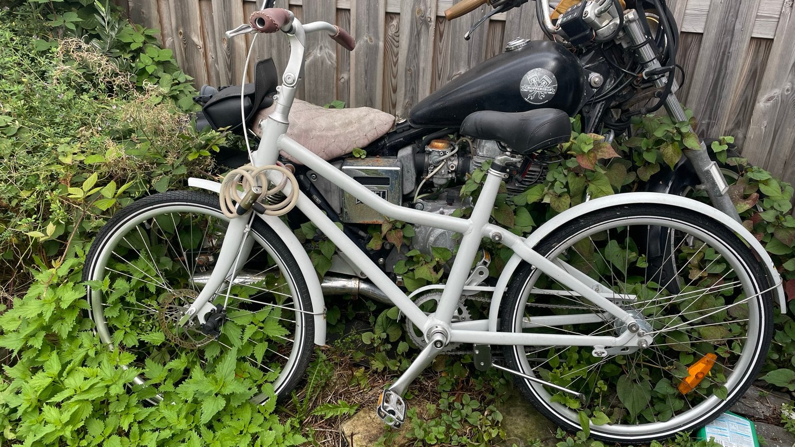 Stadsfiets / Transportsfiets – Ideale opknapper, Terugtraprem, Gebruikt, Versnellingen, 50 tot 53 cm
