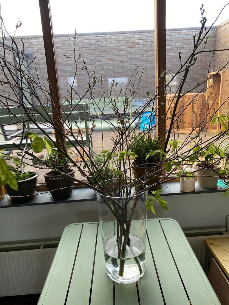 Vaas  45 cm hoog, 25  cm diameter, Ophalen, Zo goed als nieuw, Rond, Glas