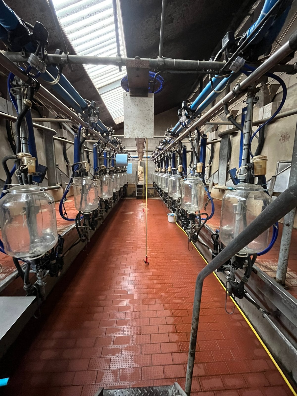 Melkstal 2x8, Dieren en Toebehoren, Toebehoren