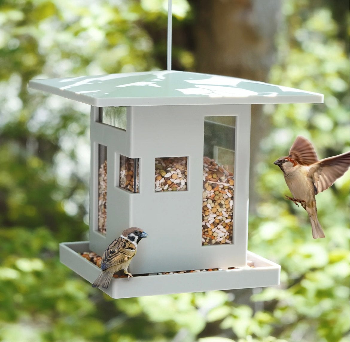 Umbra vogel voederhuisje Bird Café | nieuw in doos, Ophalen of Verzenden, Nieuw