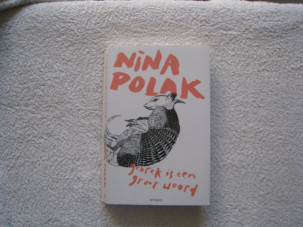 Gebrek is een groot woord: desoriëntatie, Ophalen of Verzenden, Gelezen, Nina Polak