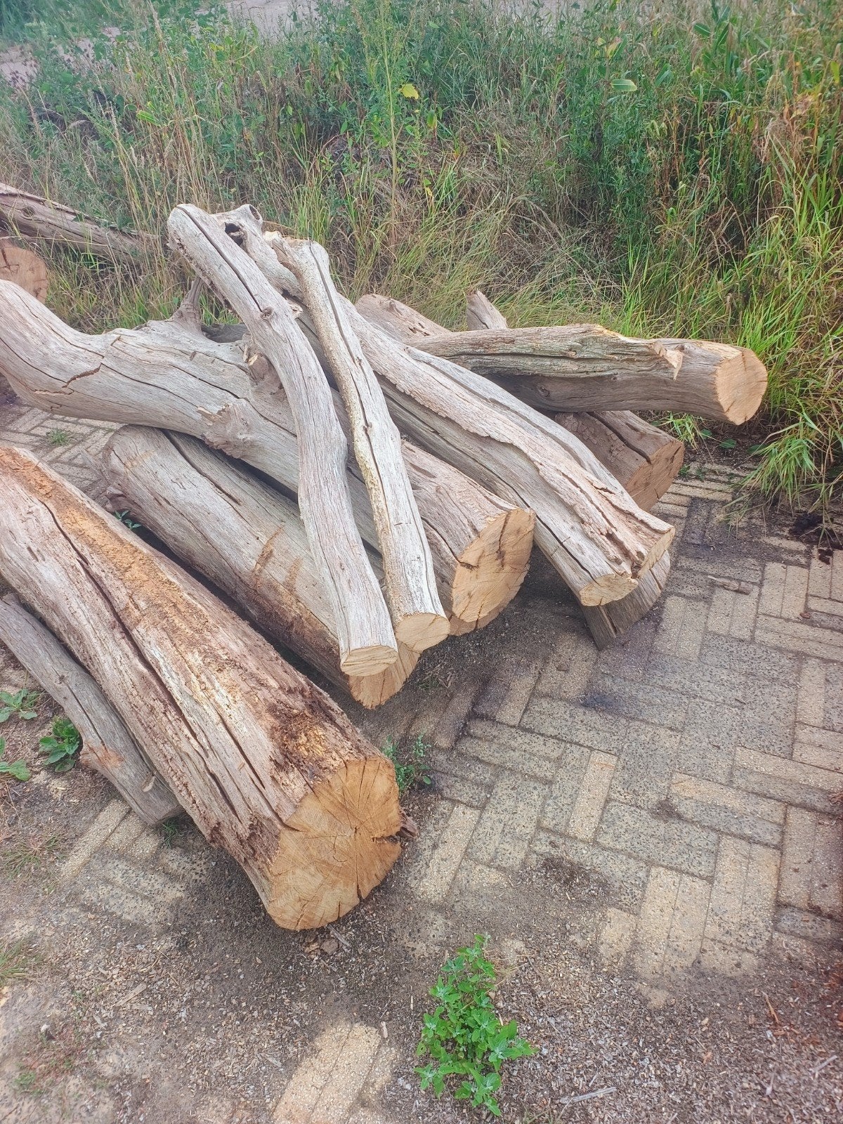 haardhout, Tuin en Terras, Haardhout, Minder dan 3 m³, Ophalen