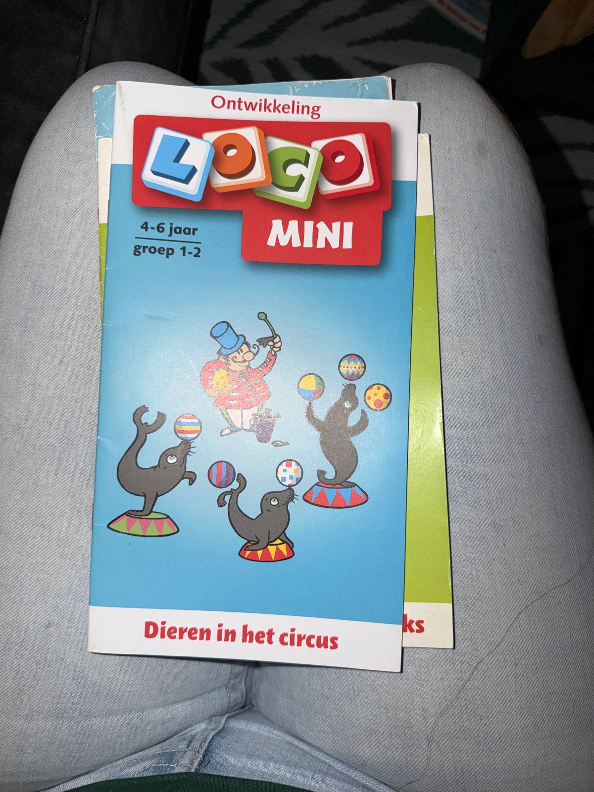 Loco Mini boekje: Dieren in het circus (4-6 jaar), Ophalen, Zo goed als nieuw, 3 tot 4 jaar
