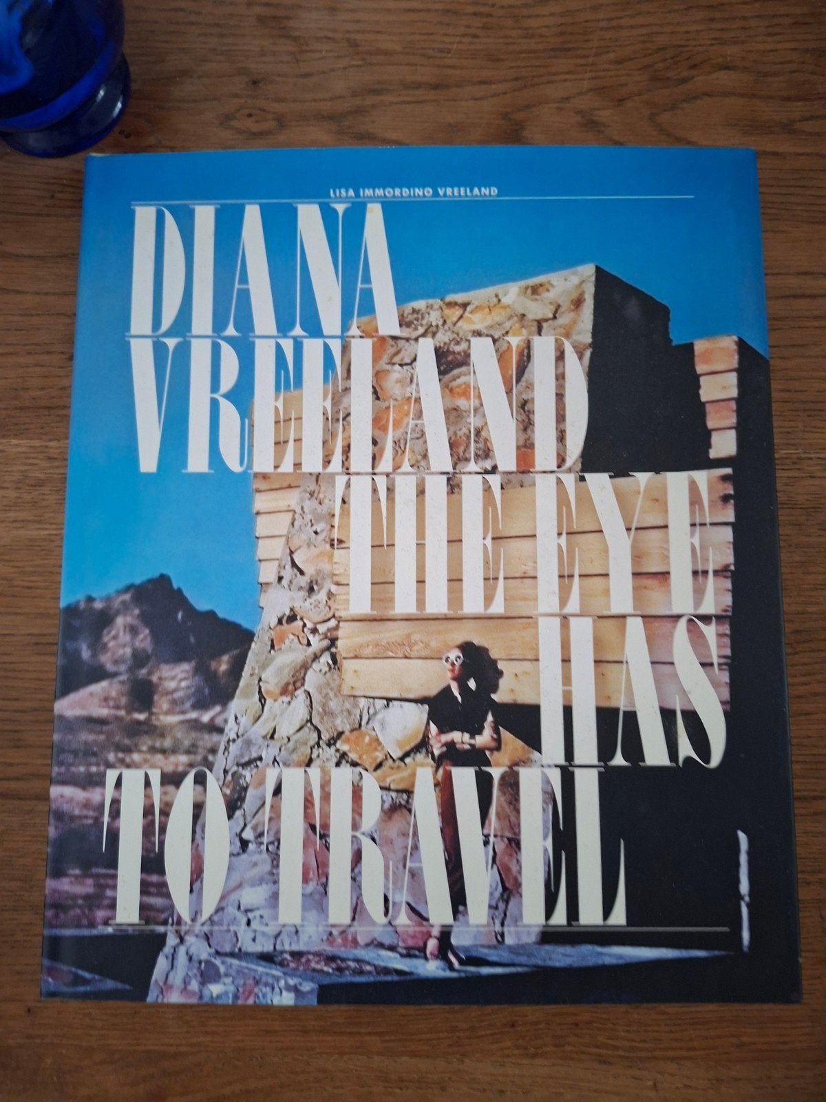 diana vreeland the eye has to travel vogue fashion, Boeken, Mode, Verzenden, Zo goed als nieuw, Overige onderwerpen