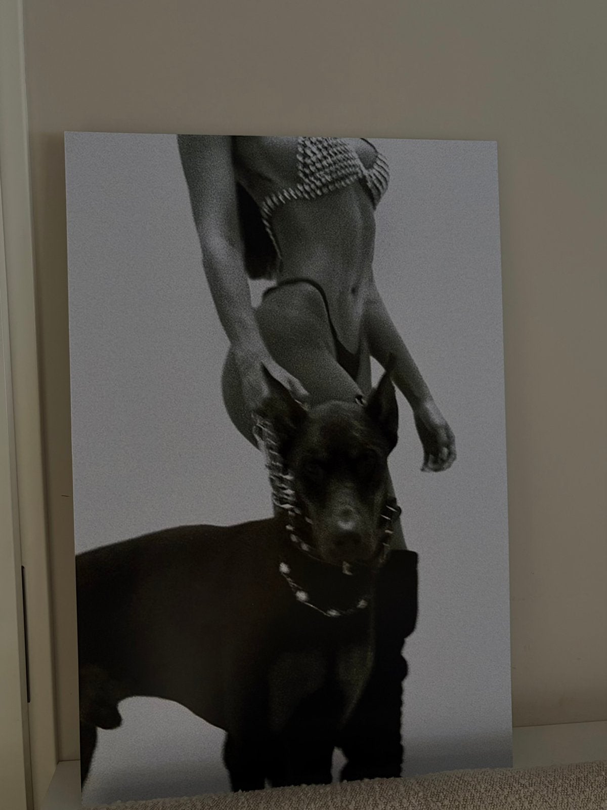 Foto op polystyreen (50x75 cm), Ophalen of Verzenden, Nieuw, Foto of Poster