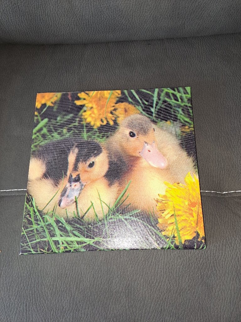 Canvas doek eenden pulletjes, Minder dan 50 cm, Ophalen of Verzenden, Zo goed als nieuw, Schilderij