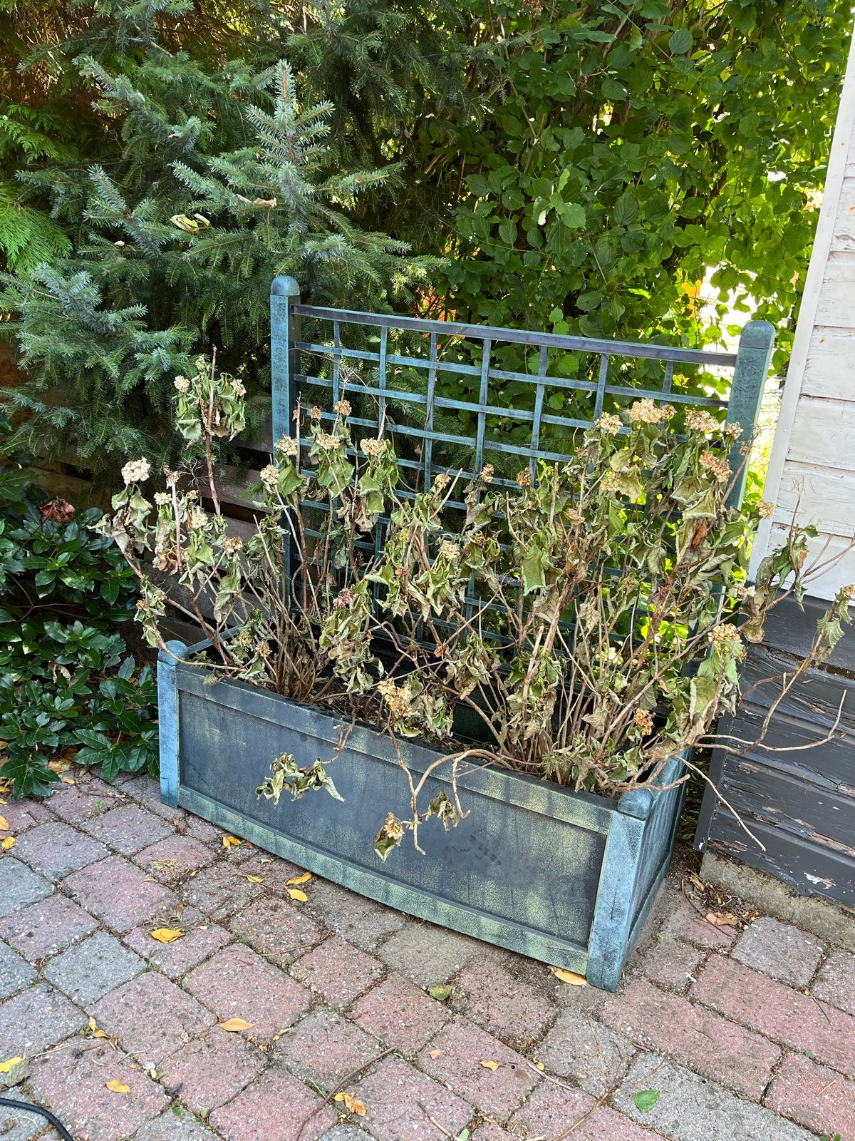Plantenbak, Tuin en Terras, Bloembakken en Plantenbakken, Ophalen, Kunststof, Gebruikt, 100 cm of meer