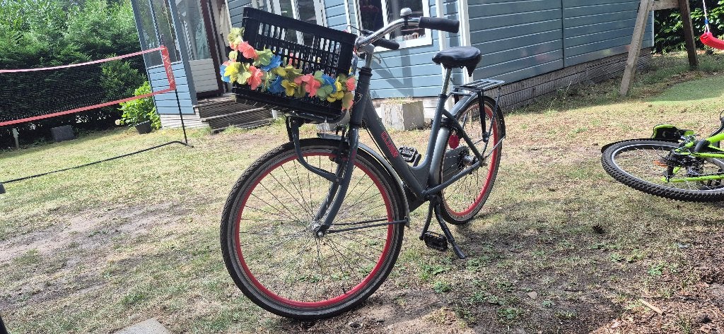 Fiets meisjes 11 jaar, Fietsen en Brommers, Fietsen | Meisjes, Ophalen, Zo goed als nieuw, 24 inch
