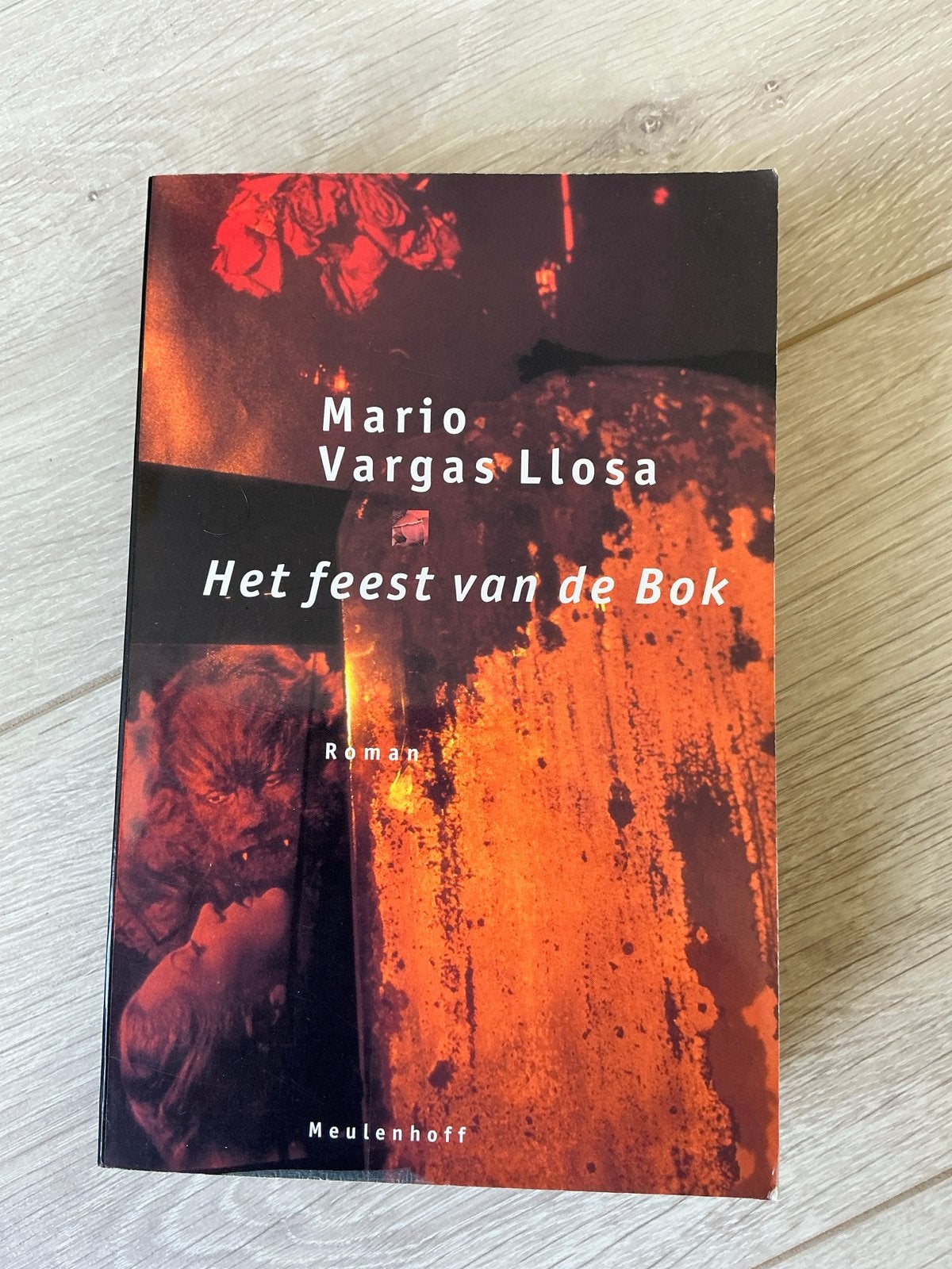 Het feest van de Bok - Mario Vargas Llosa, Ophalen of Verzenden, Gelezen, Europa overig