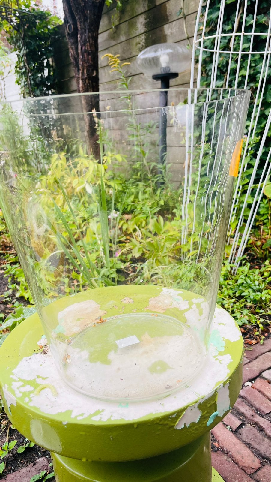 Gratis af te halen: grote vaas glas, h., Tuin en Terras, Ophalen of Verzenden, Rond, Minder dan 25 cm