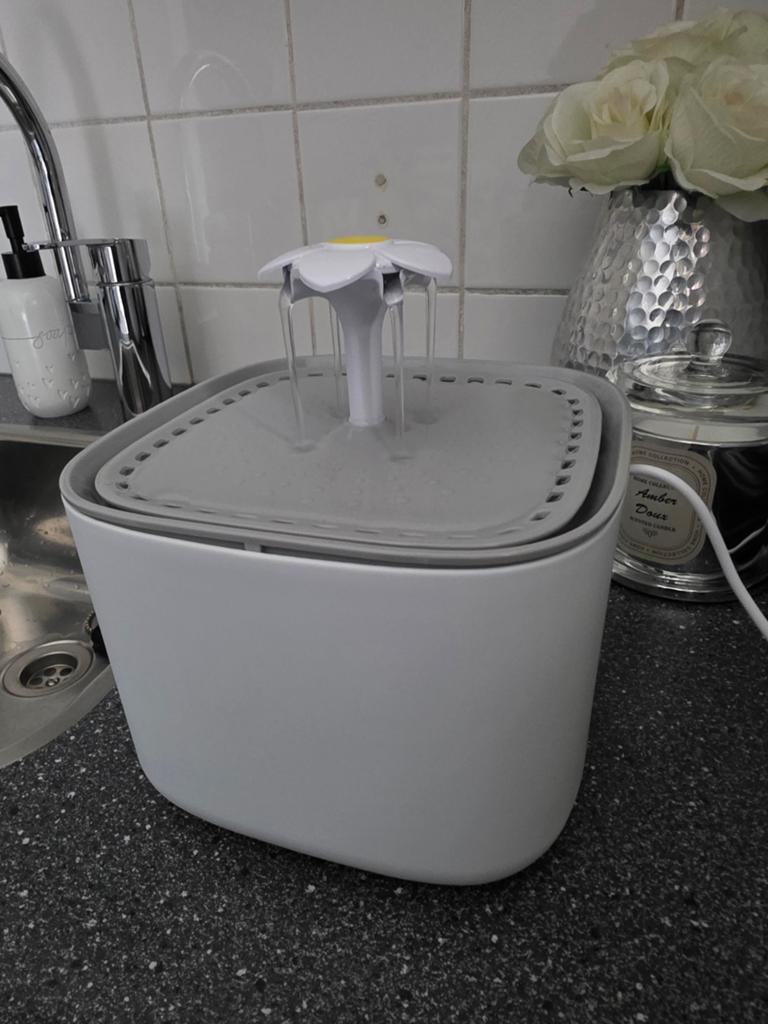 Waterfontijn katten, Ophalen
