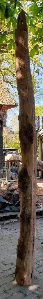 Balk, eiken, Ophalen, Gebruikt, Eiken, 250 tot 300 cm