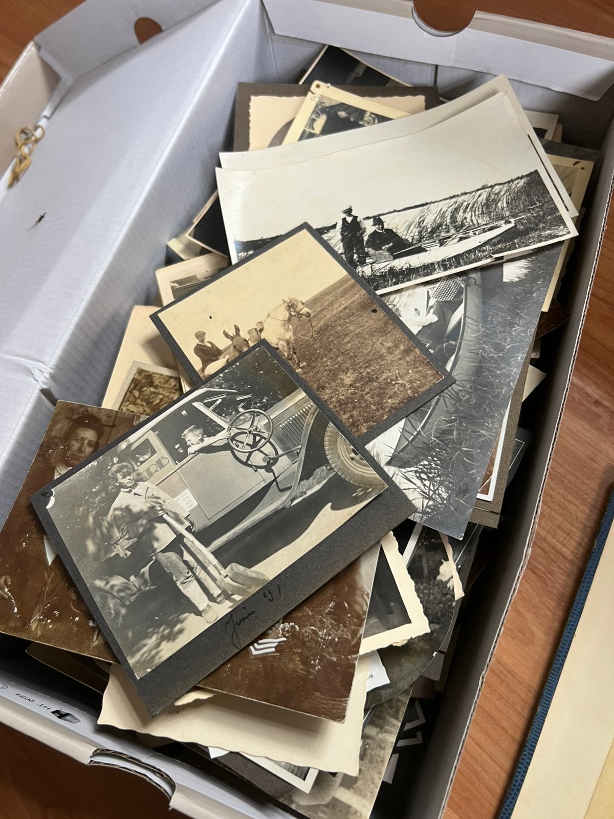 Album en een schoenendoos vol fotos, Verzamelen, Ophalen, Gebruikt, Foto, 1940 tot 1960