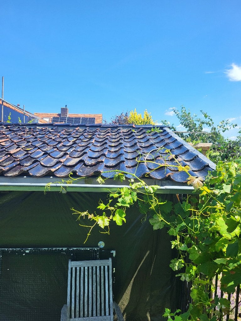 Oude dakpannen, hand geglazuurd, meer dan 125 jaar oud, Ophalen, Gebruikt, 15 m² of meer, Dakpannen