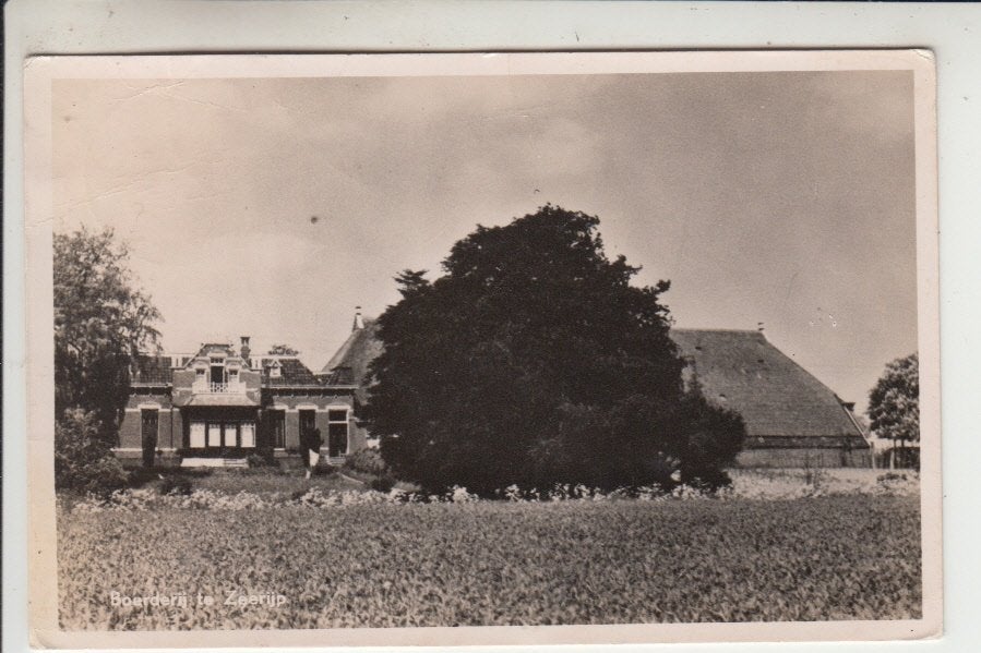 Zeerijp - Loppersum, Boerderij, Ophalen of Verzenden, 1940 tot 1960, Gelopen, Groningen