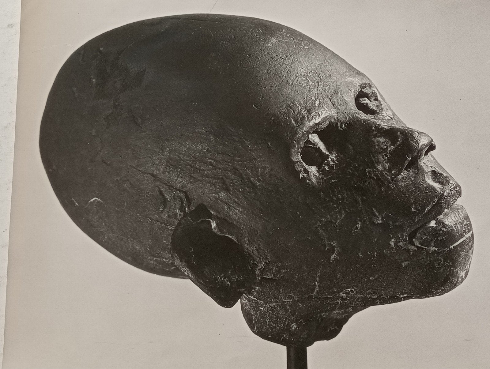 Giacomo Manzu 'Teste di regazzo negro' 1963 persfoto, Ophalen of Verzenden, 1960 tot 1980, Gebruikt, Overige onderwerpen