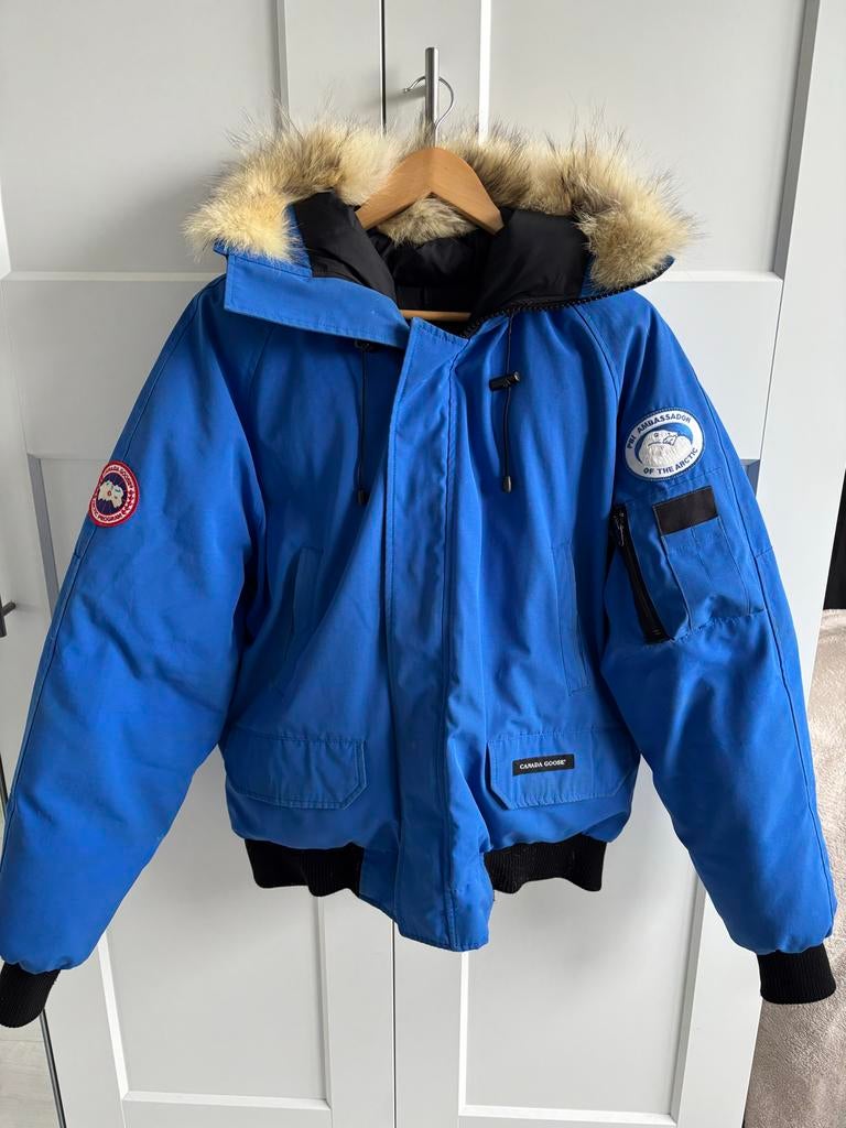 Canada Goose Chilliwack Bomber PBI - Maat L - blauw, Kleding | Heren, Ophalen of Verzenden, Gedragen, Maat 52/54 (L), Blauw