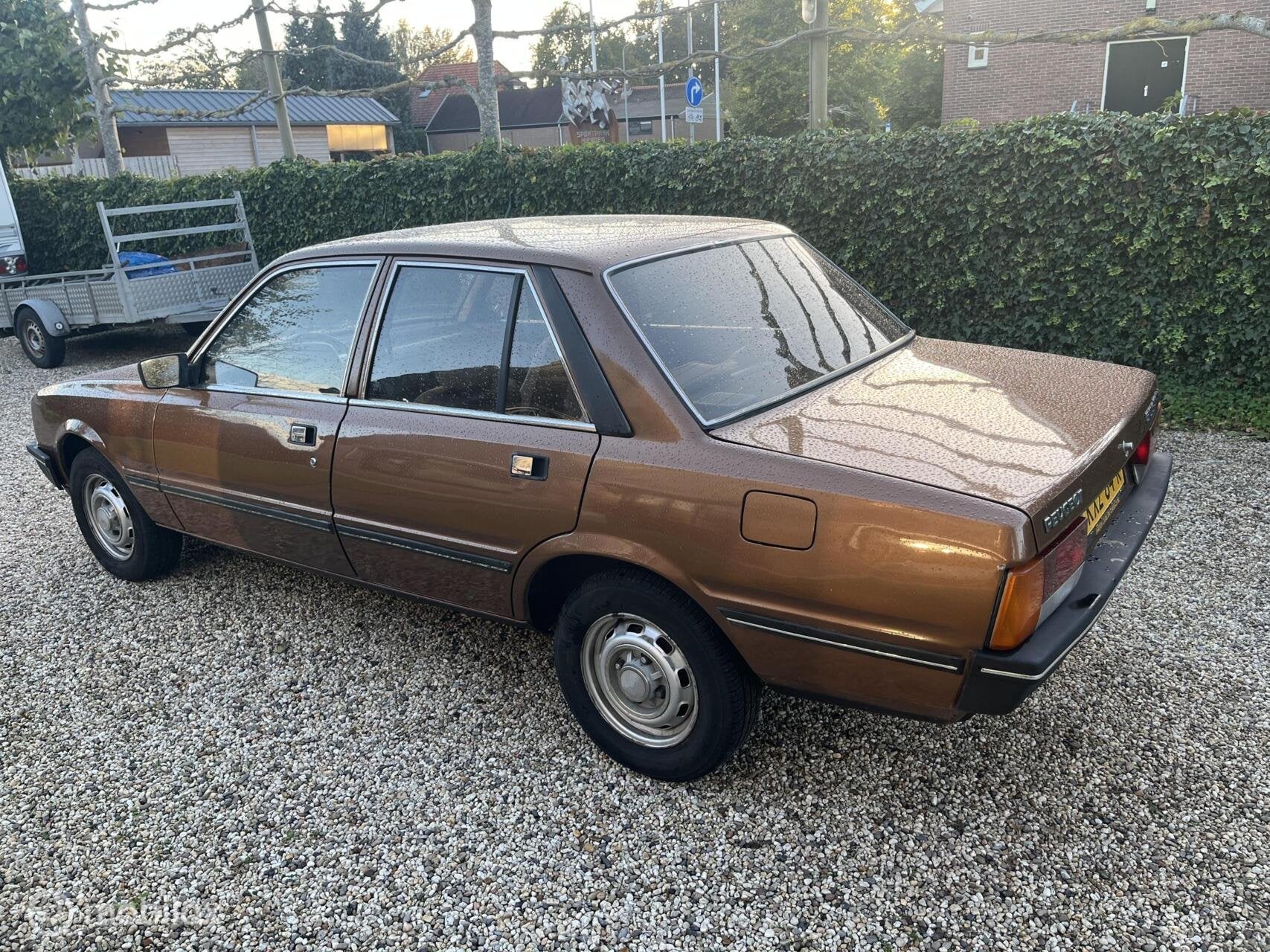 Peugeot 505 2.3 SRD turbo, foto 6