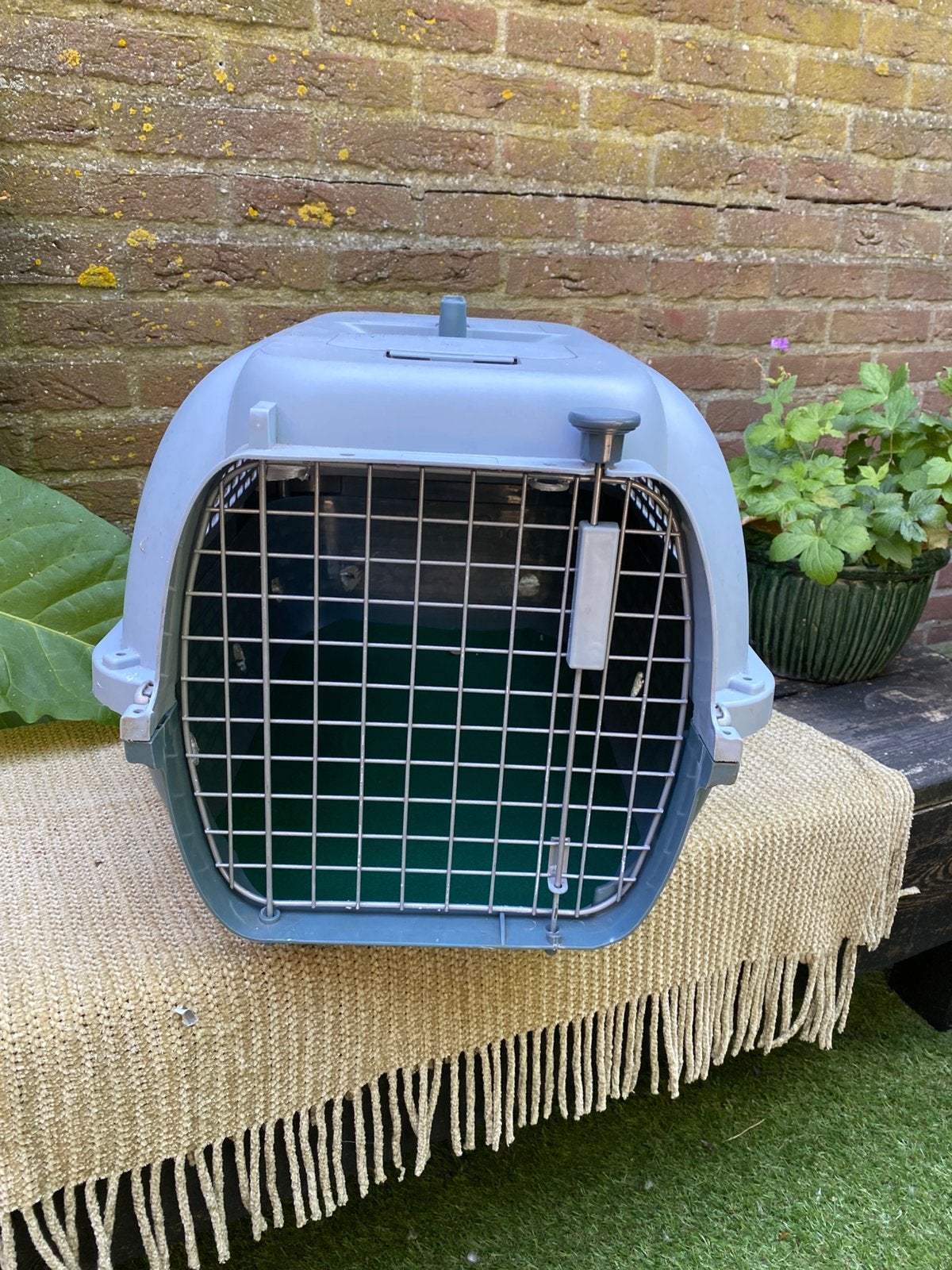 Reismand DOG IT, Ophalen of Verzenden, Gebruikt