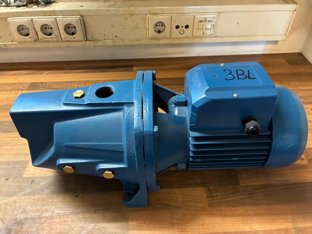 PEDROLLO pomp JSW 3BL 9,6 m3 Krachtstroom waterpomp, Ophalen, Zo goed als nieuw, Elektrisch, Beregeningspomp