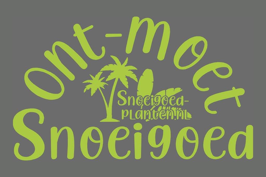Tuinman aangeboden, met name snoeien, maaien, regio Arnhem, Tuinonderhoud of Snoeiwerk