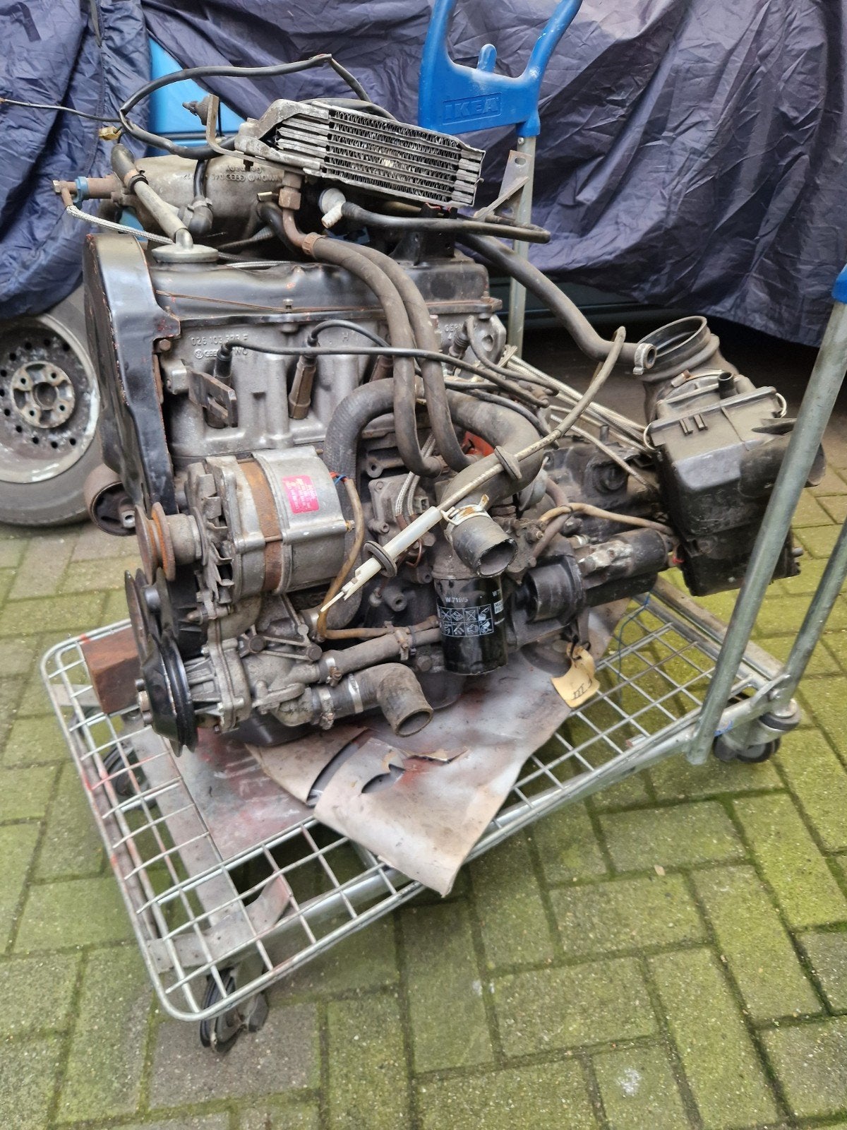 vw golf mk1 gti, Ophalen of Verzenden, Nieuw