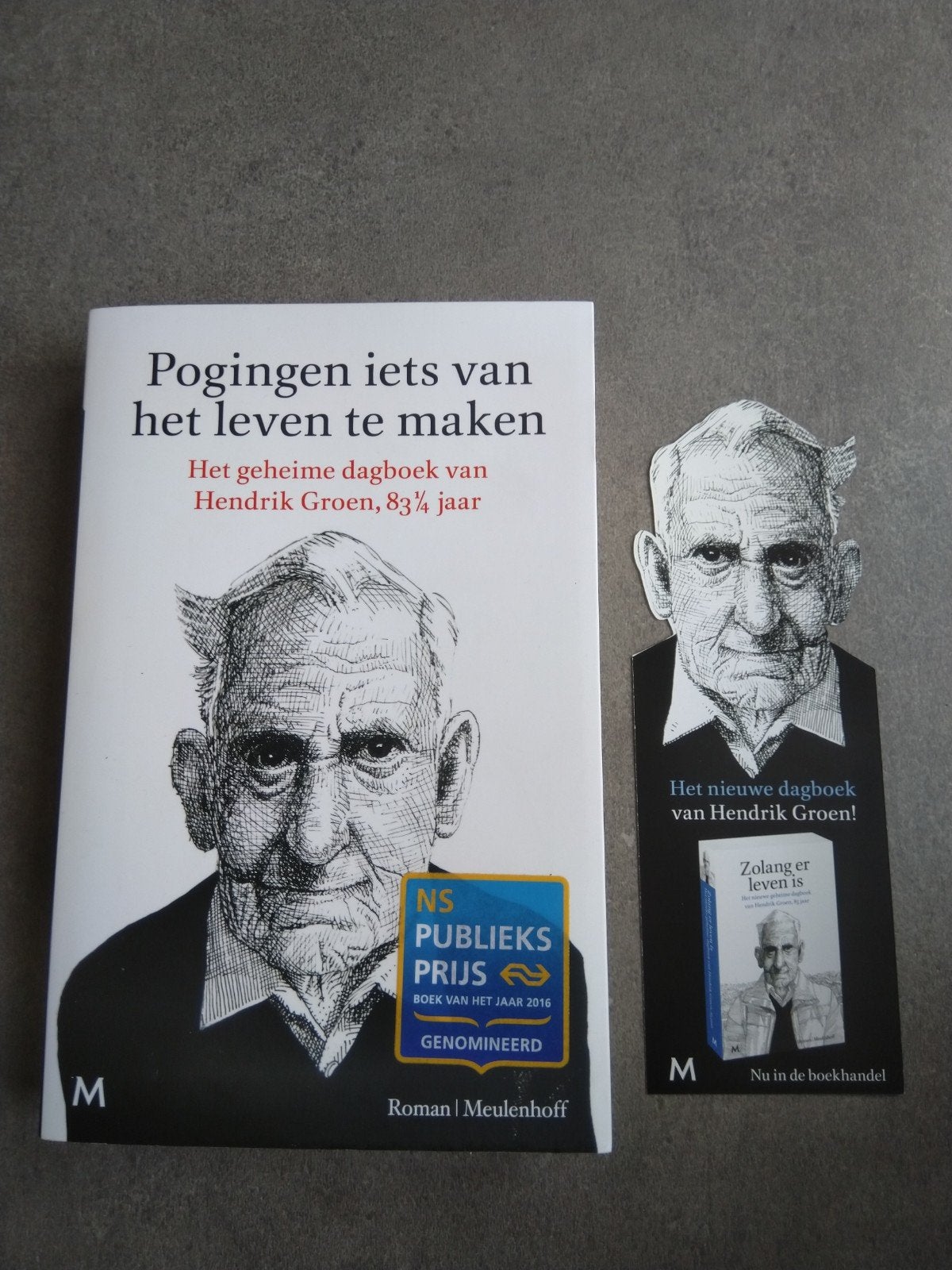 Pogingen iets van het leven te maken: dagboek Hendrik Groen, Boeken, Humor, Ophalen of Verzenden, Zo goed als nieuw, Verhalen