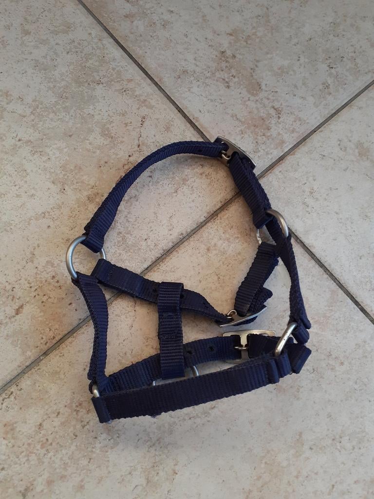 Nieuwe stalhalster falabella veulen mini shetland veulen, Dieren en Toebehoren, Ophalen of Verzenden, Nieuw, Overige soorten