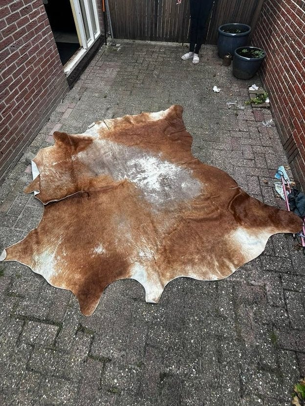Echt koeienkleed, Huis en Inrichting, Ophalen, Gebruikt, Overige kleuren, 200 cm of meer