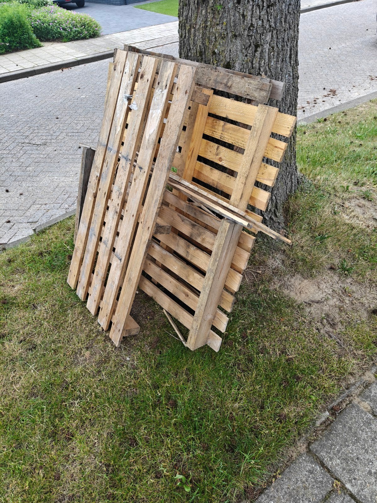 Vier houten pallets in verschillende afmetingen, Ophalen, Gebruikt, 50 mm of meer, Pallet